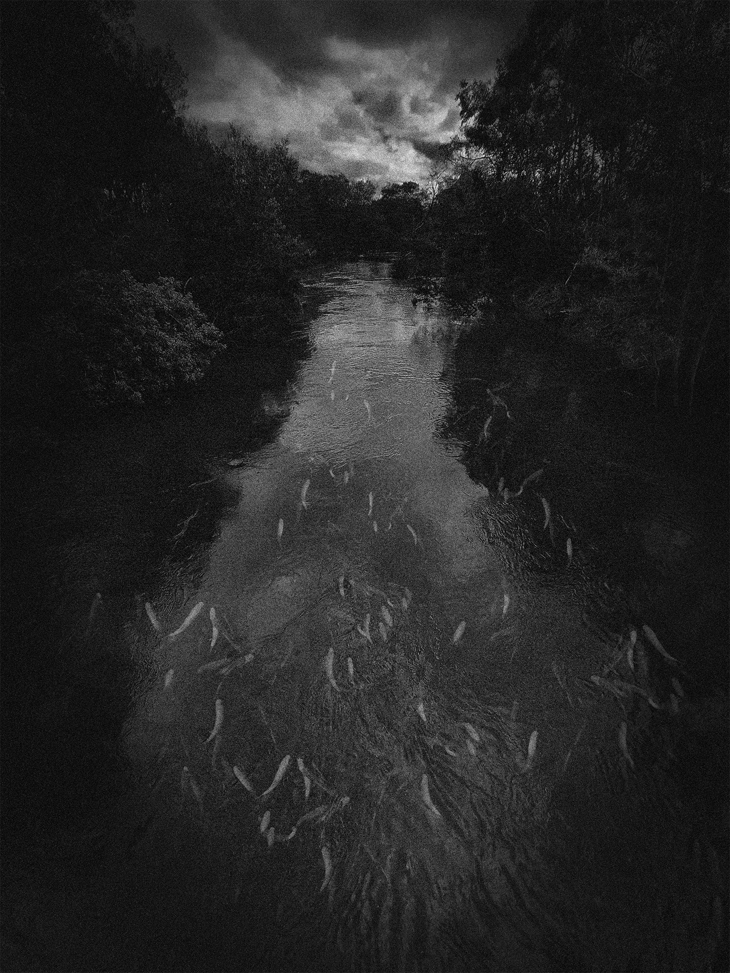 River - Nathan Tucker