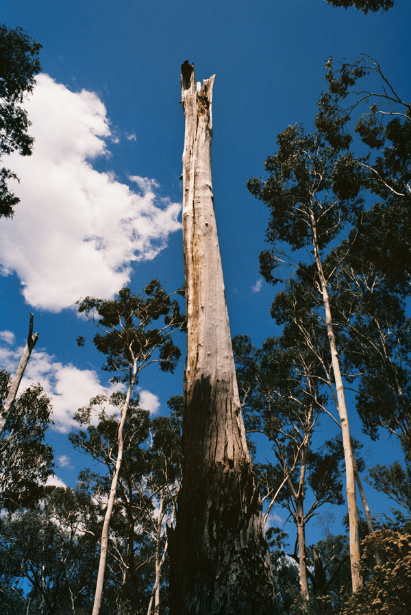 Nathan Tucker - Photo 10