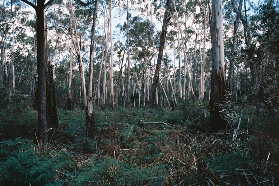 Nathan Tucker - Photo 11