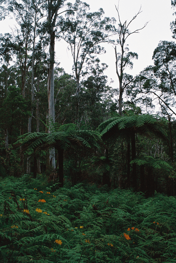 Nathan Tucker - Photo 12