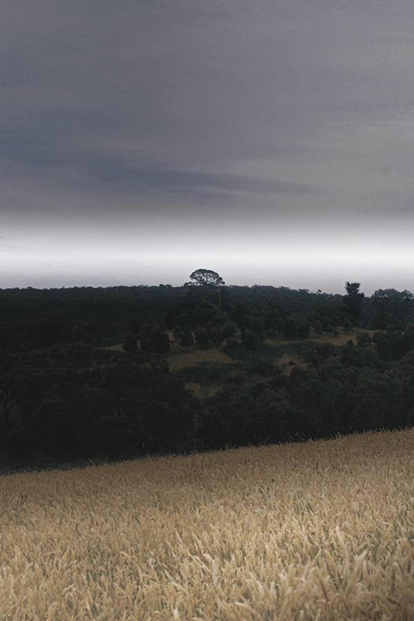 Nathan Tucker - Photo 14