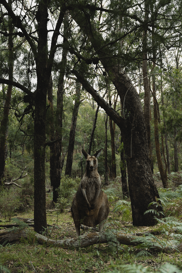 Nathan Tucker - Photo 17