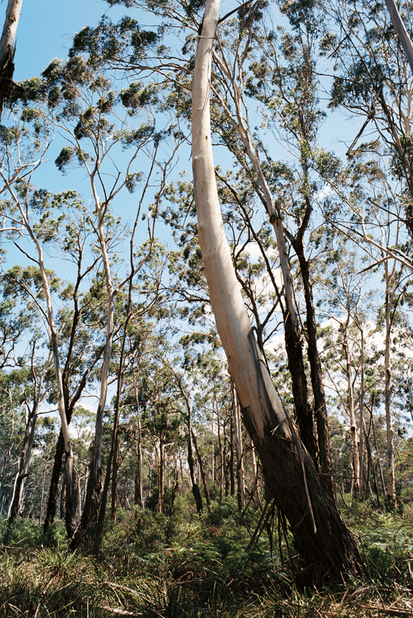 Nathan Tucker - Photo 4