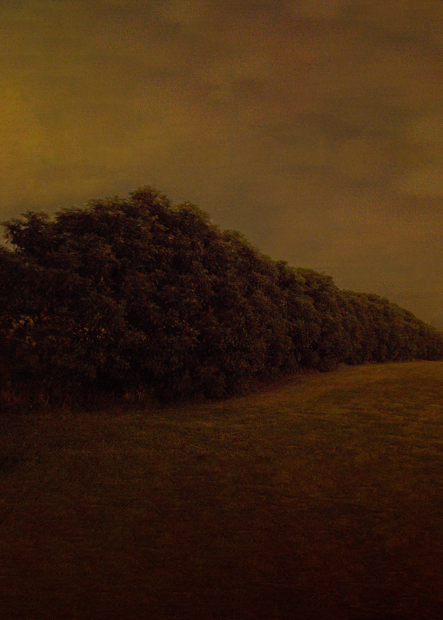 Untitled - Nathan Tucker